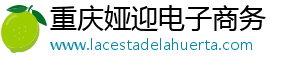 重庆娅迎电子商务